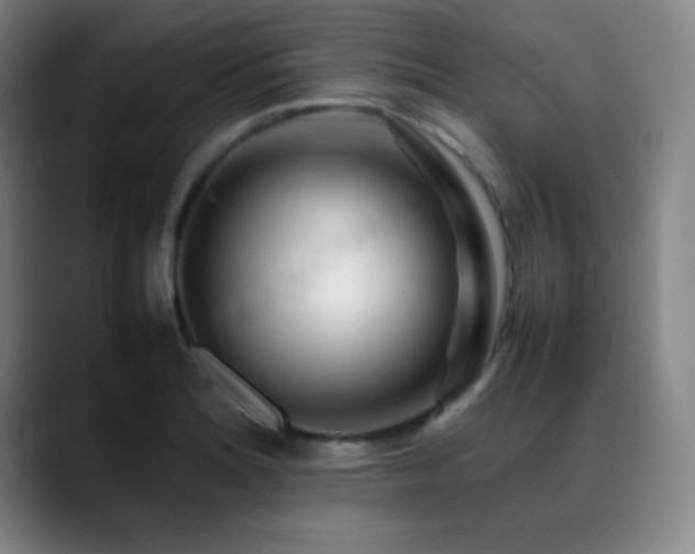 X0000089351180200706151056