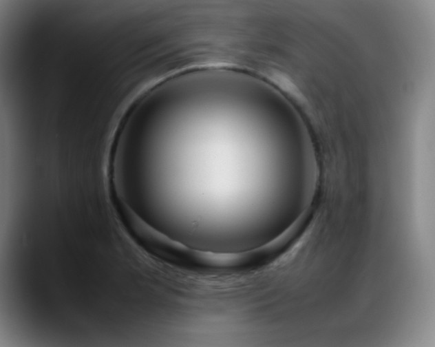 X0000089351181200706151056