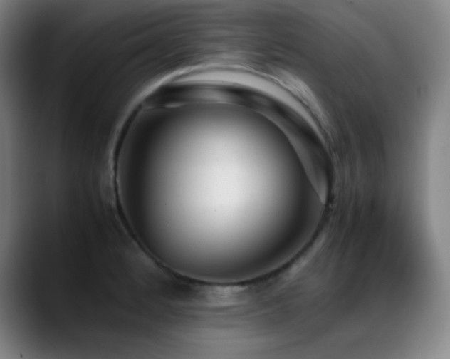 X0000089351184200706151056