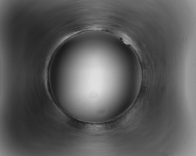 X0000089351187200706151056
