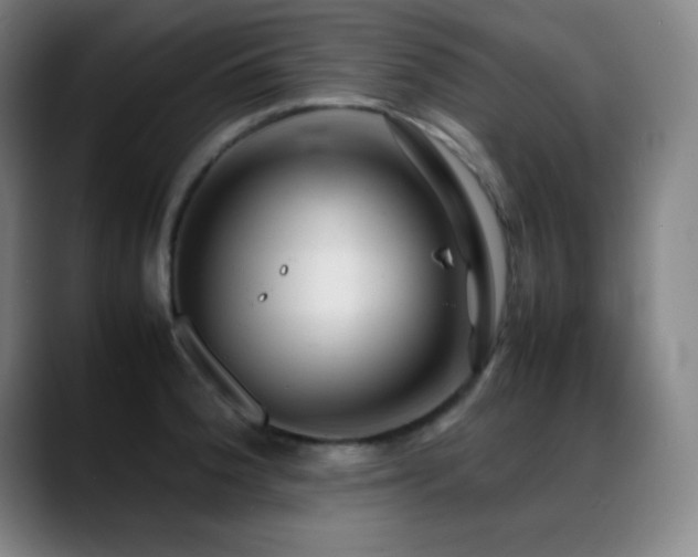 X0000089351188200706151056