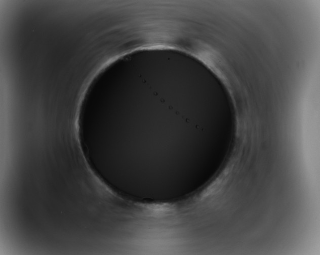 X0000089351189200706151056