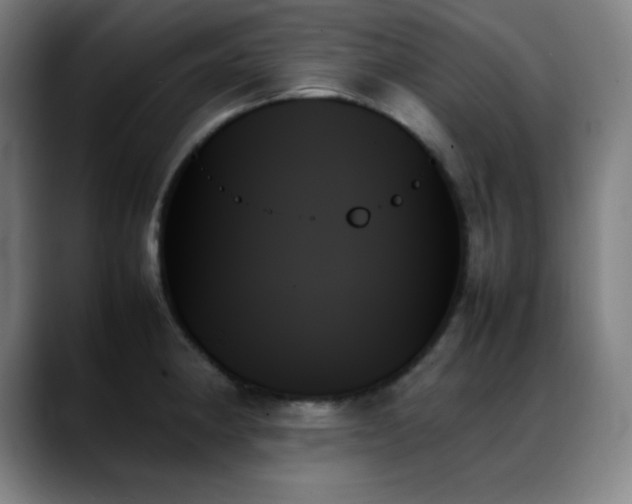 X0000089351190200706151056