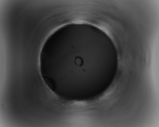 X0000089351191200706151056