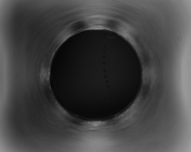 X0000089351193200706151056