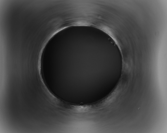 X0000089351195200706151056