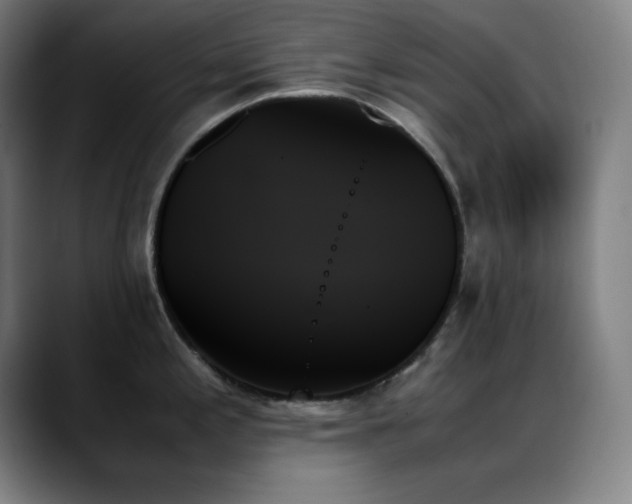 X0000089351197200706151056