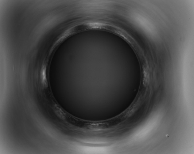 X0000089351198200706151056