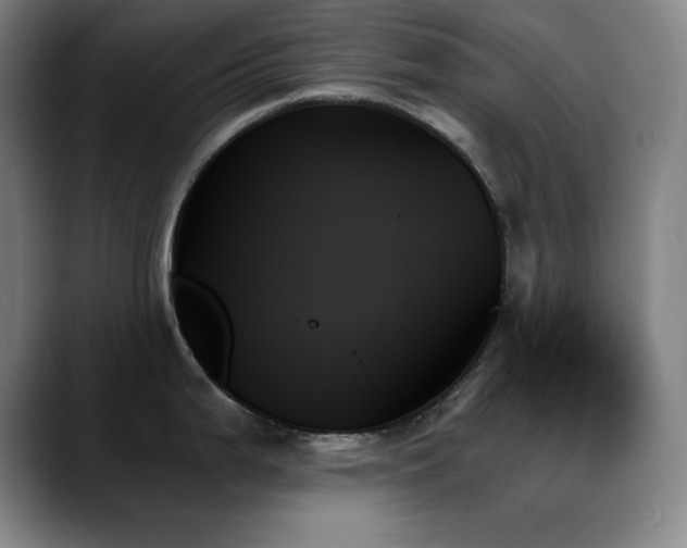 X0000089351199200706151056
