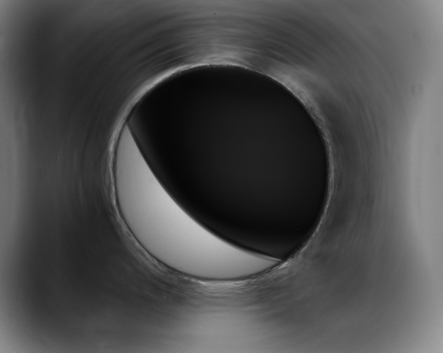 X0000089351200200706151056