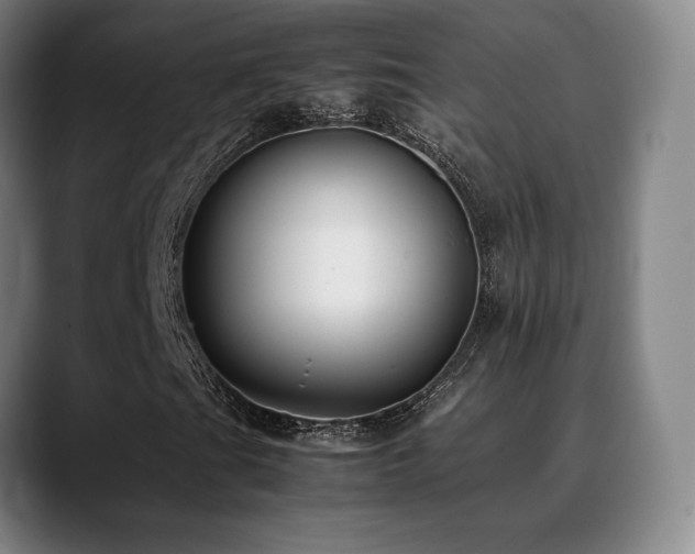 X0000089351201200706151055