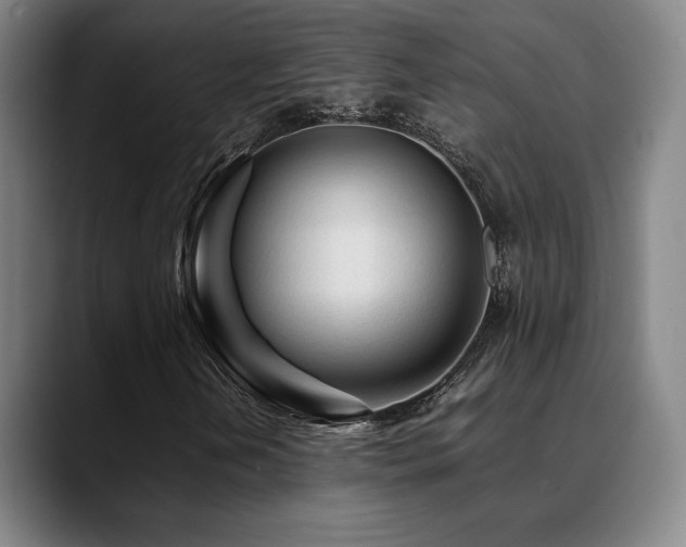 X0000089351202200706151055
