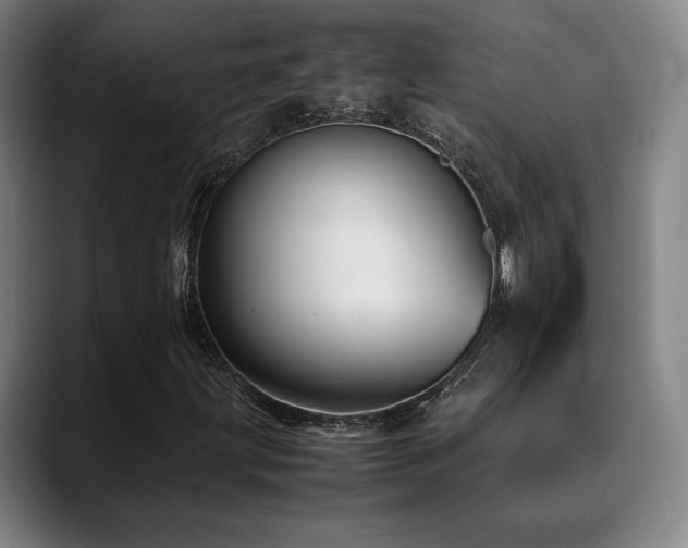 X0000089351203200706151055