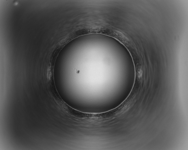 X0000089351204200706151055