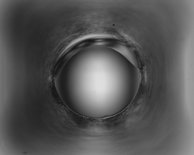 X0000089351206200706151055