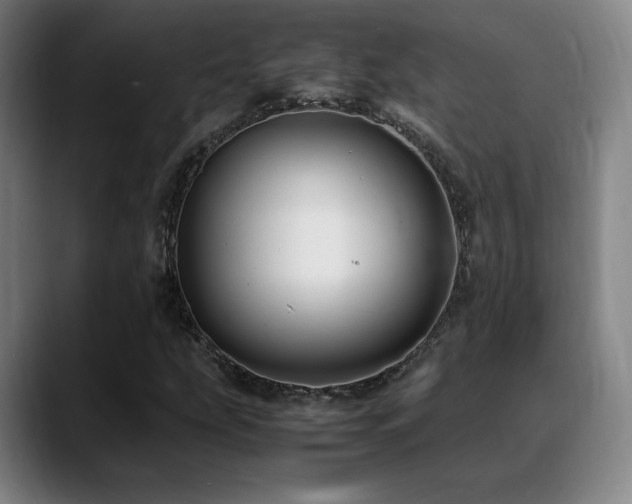 X0000089351207200706151055