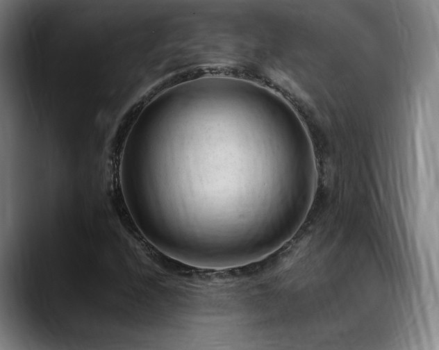 X0000089351208200706151055