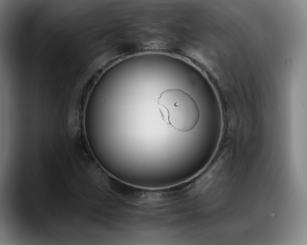 X0000089351211200706151055