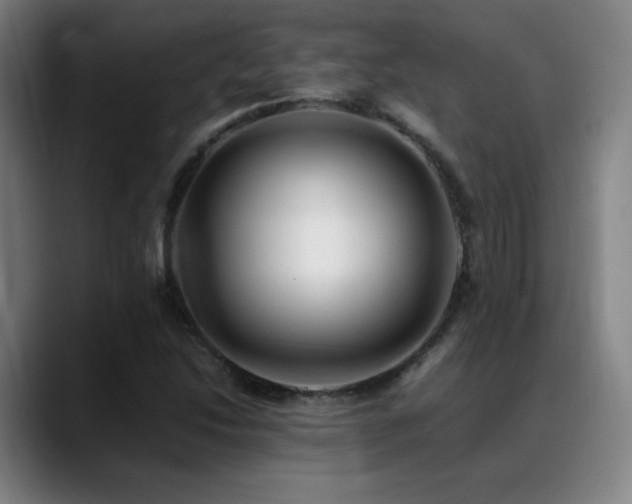 X0000089351214200706151055