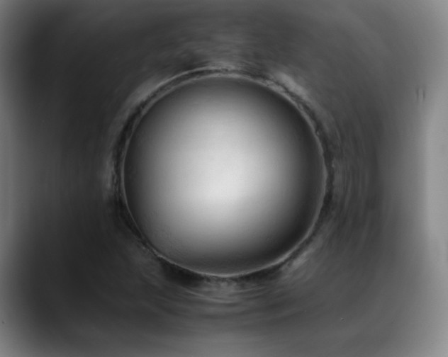 X0000089351215200706151055