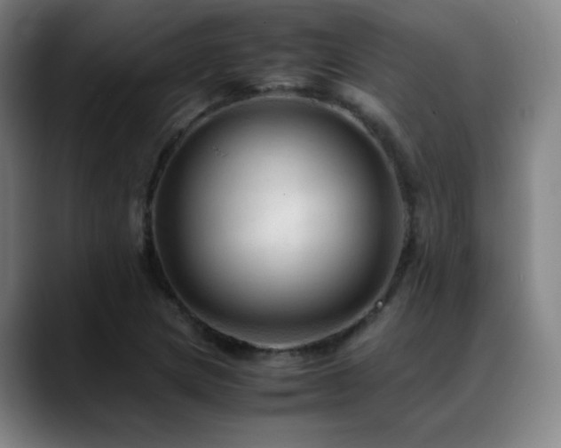 X0000089351217200706151055