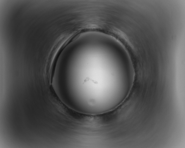 X0000089351218200706151055