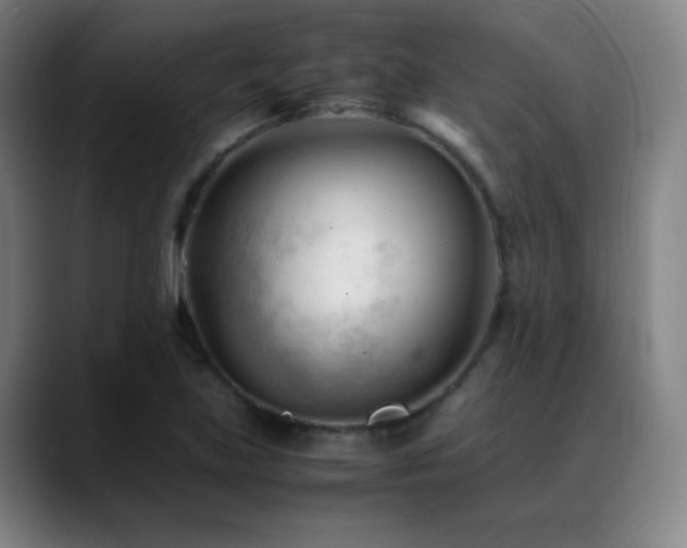 X0000089351219200706151055