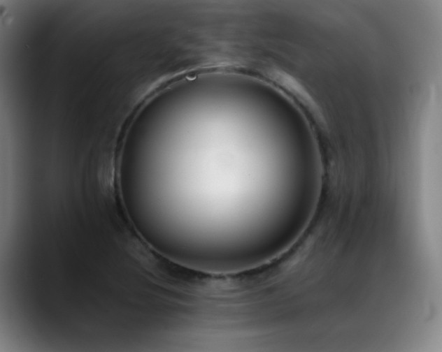 X0000089351220200706151055