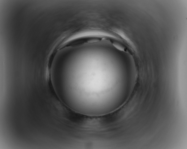 X0000089351221200706151055