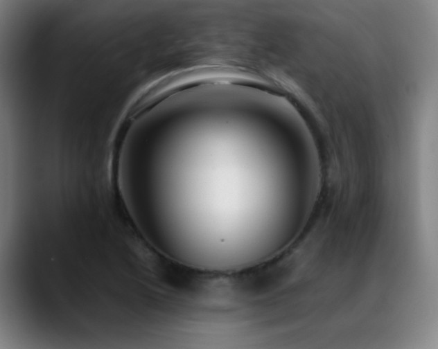 X0000089351222200706151055