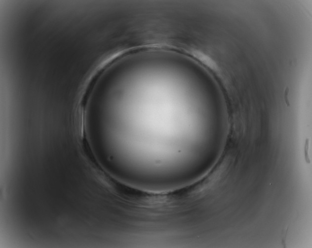 X0000089351223200706151055