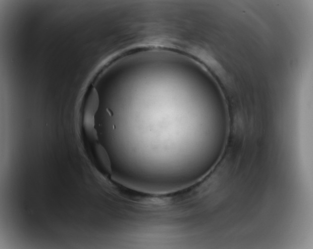 X0000089351224200706151055