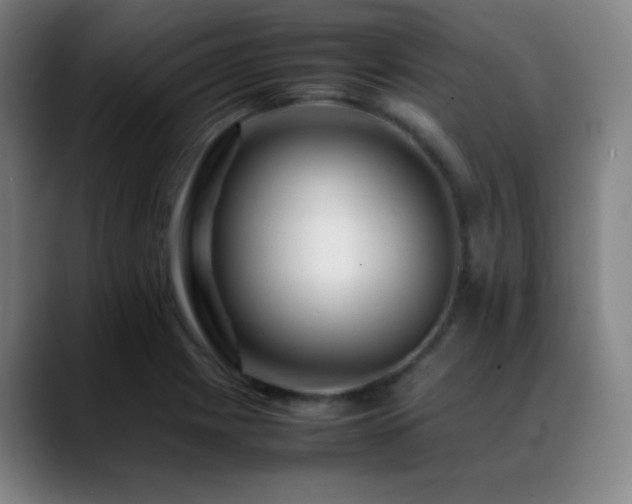 X0000089351225200706151055