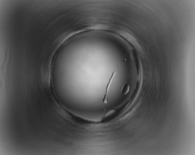X0000089351228200706151055