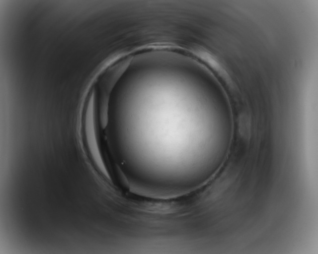 X0000089351229200706151055
