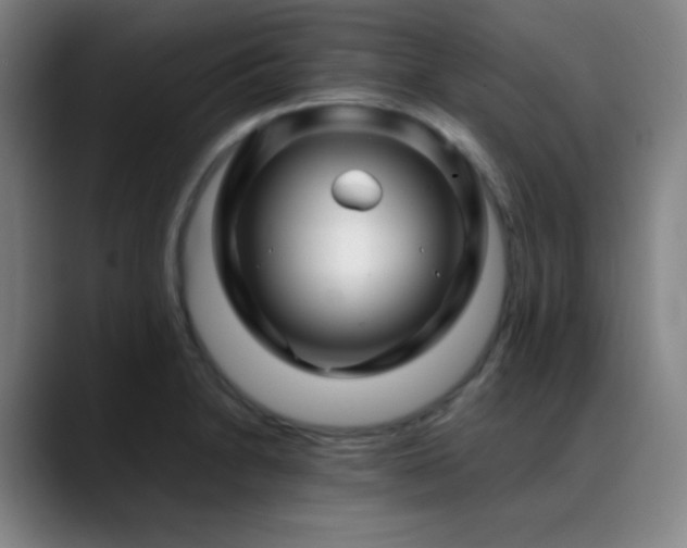 X0000089351230200706151055