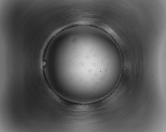 X0000089351232200706151055