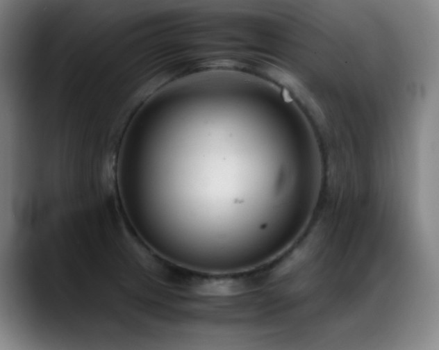 X0000089351233200706151055
