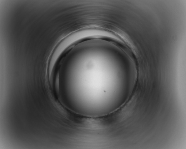 X0000089351234200706151055