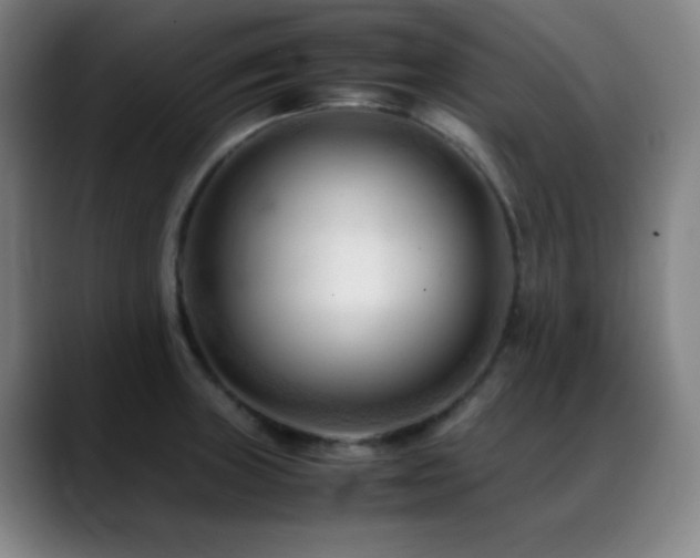 X0000089351235200706151055