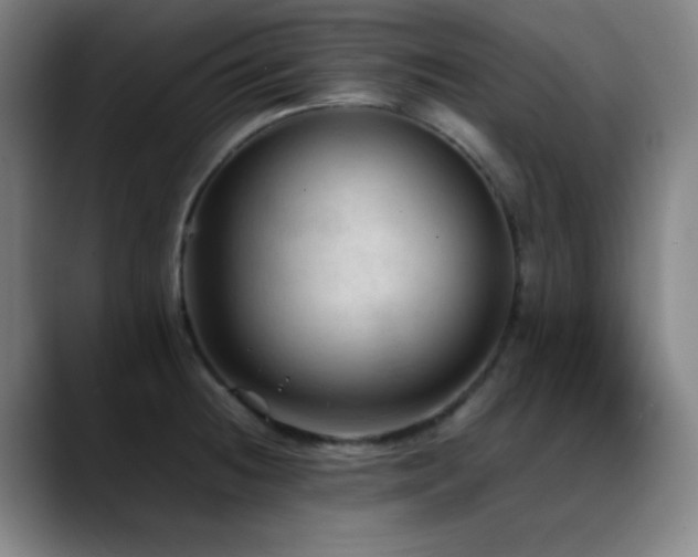 X0000089351236200706151055