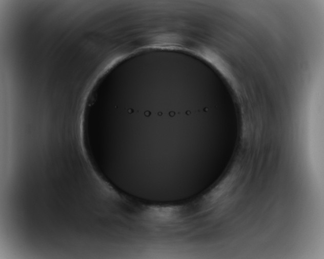X0000089351237200706151055