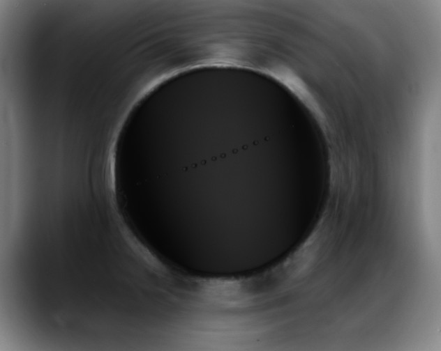 X0000089351238200706151055