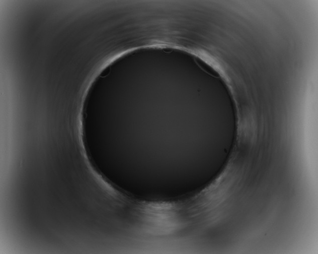 X0000089351239200706151055