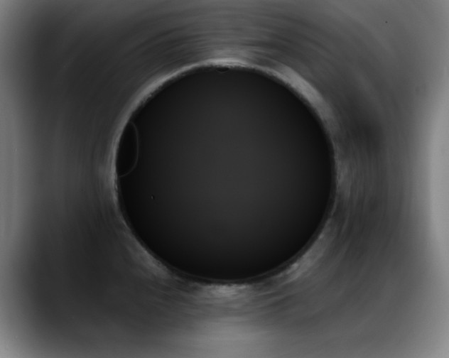 X0000089351240200706151055