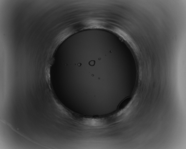 X0000089351241200706151055