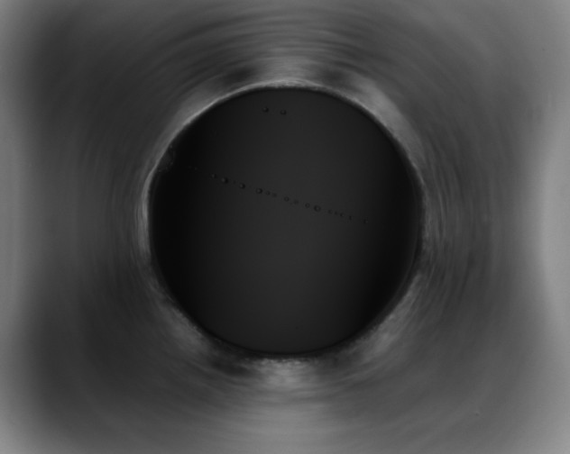 X0000089351242200706151055
