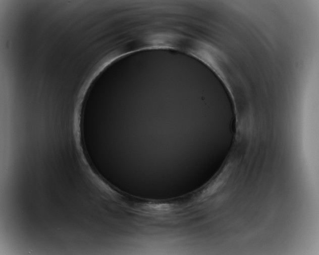 X0000089351243200706151055