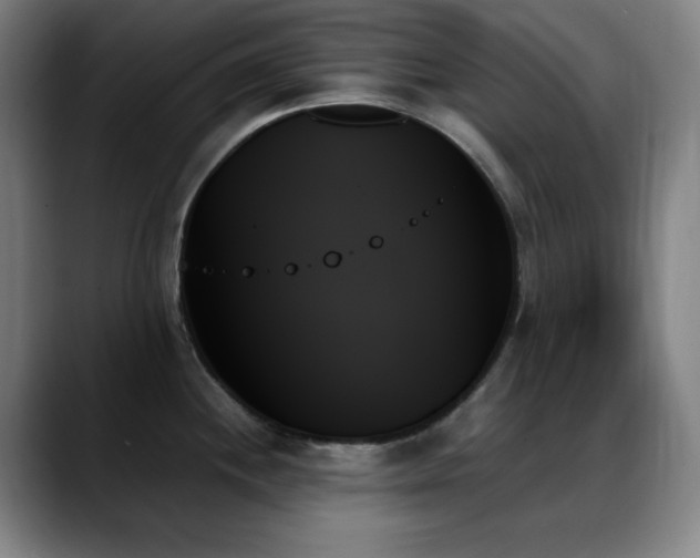X0000089351244200706151055