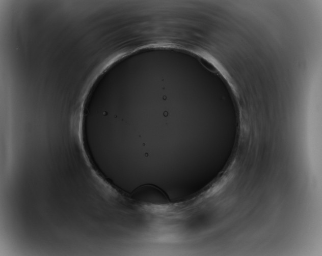 X0000089351245200706151055